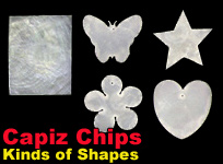 capiz shell chips in different shapes